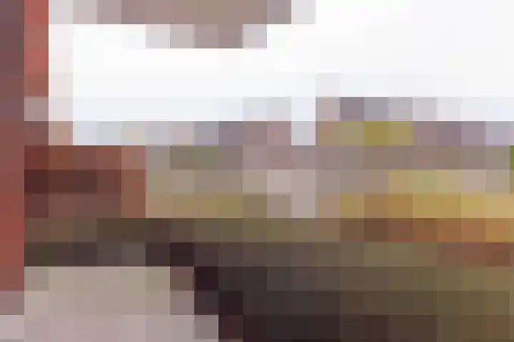 Van Naeldwijcklaan 53 Capelle aan den IJssel thumbnail 18