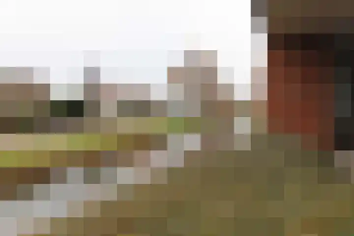 Van Naeldwijcklaan 53 Capelle aan den IJssel thumbnail 19