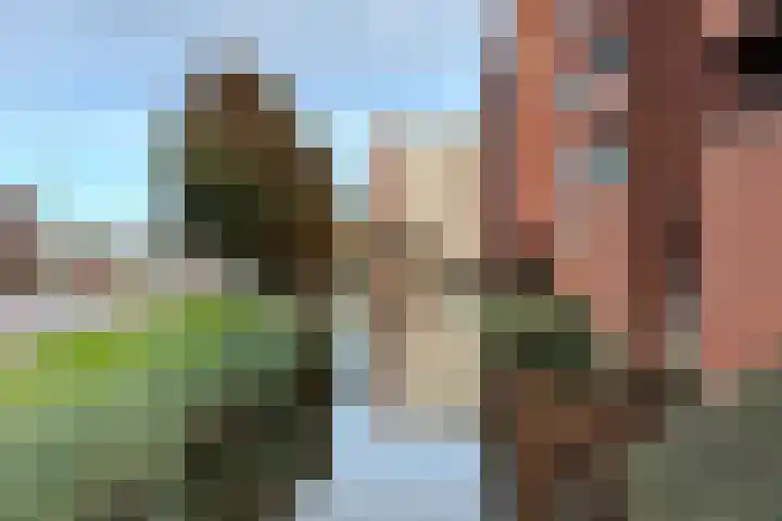 Van Naeldwijcklaan 53 Capelle aan den IJssel thumbnail 28