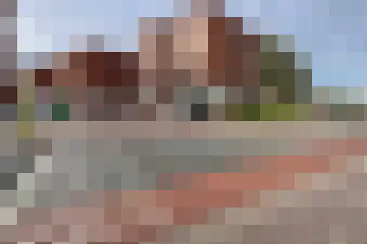 Van Naeldwijcklaan 53 Capelle aan den IJssel thumbnail 35