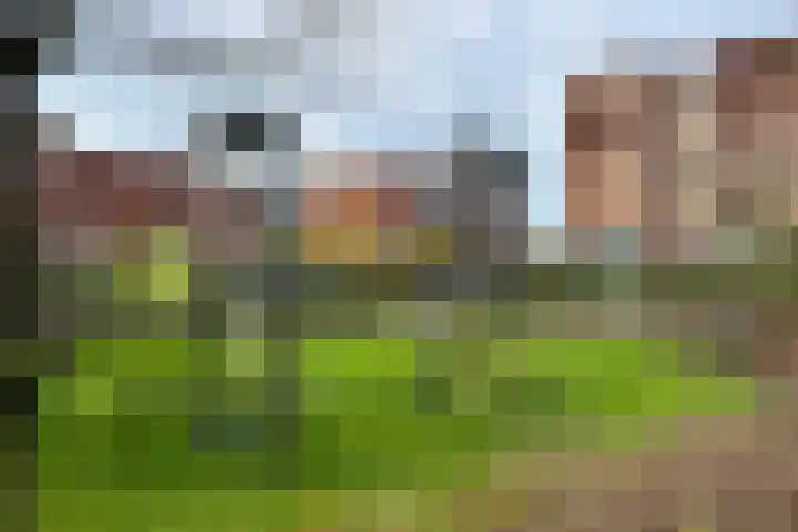 Van Naeldwijcklaan 53 Capelle aan den IJssel thumbnail 38