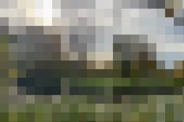Van Naeldwijcklaan 53 Capelle aan den IJssel thumbnail 39