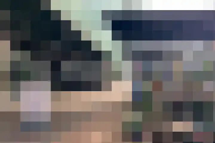 Van Naeldwijcklaan 53 Capelle aan den IJssel thumbnail 41