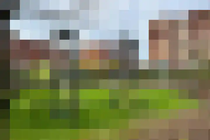 Van Naeldwijcklaan 59 Capelle aan den IJssel thumbnail 32