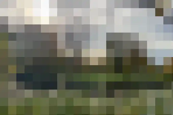 Van Naeldwijcklaan 59 Capelle aan den IJssel thumbnail 37