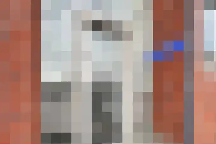 Van Naeldwijcklaan 59 Capelle aan den IJssel thumbnail 8