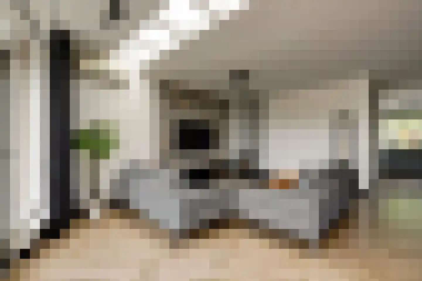 van Naeldwijcklaan 67 Berkel en Rodenrijs thumbnail 14