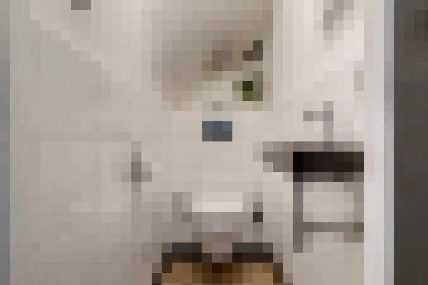 van Naeldwijcklaan 67 Berkel en Rodenrijs thumbnail 19