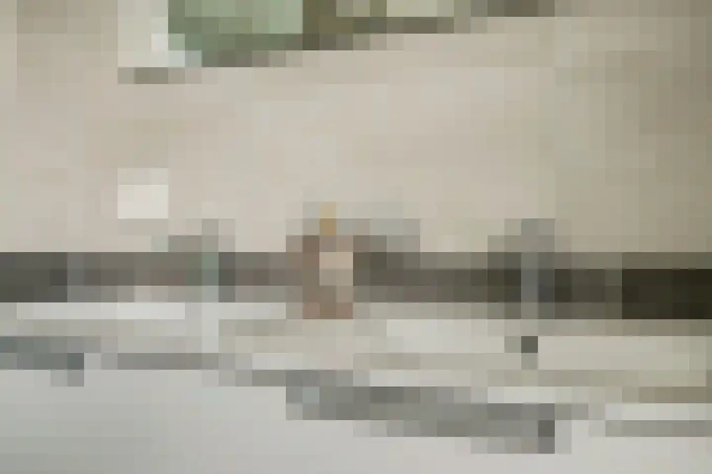van Naeldwijcklaan 67 Berkel en Rodenrijs thumbnail 29