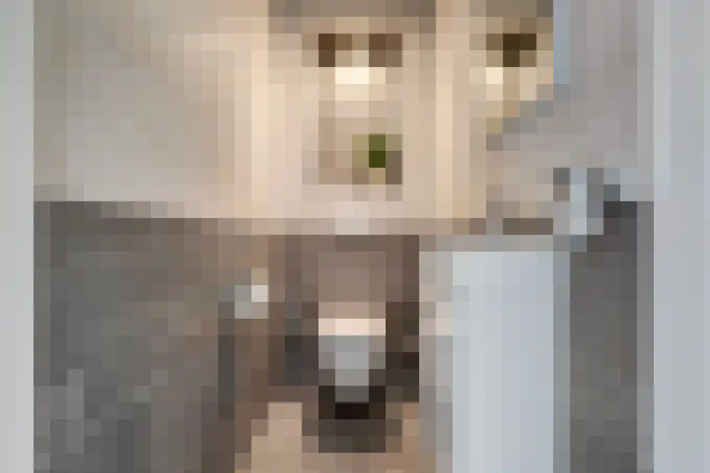 van Naeldwijcklaan 67 Berkel en Rodenrijs thumbnail 31