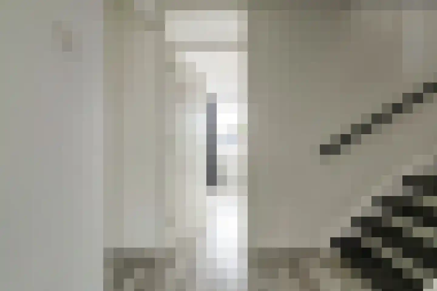 van Naeldwijcklaan 67 Berkel en Rodenrijs thumbnail 33
