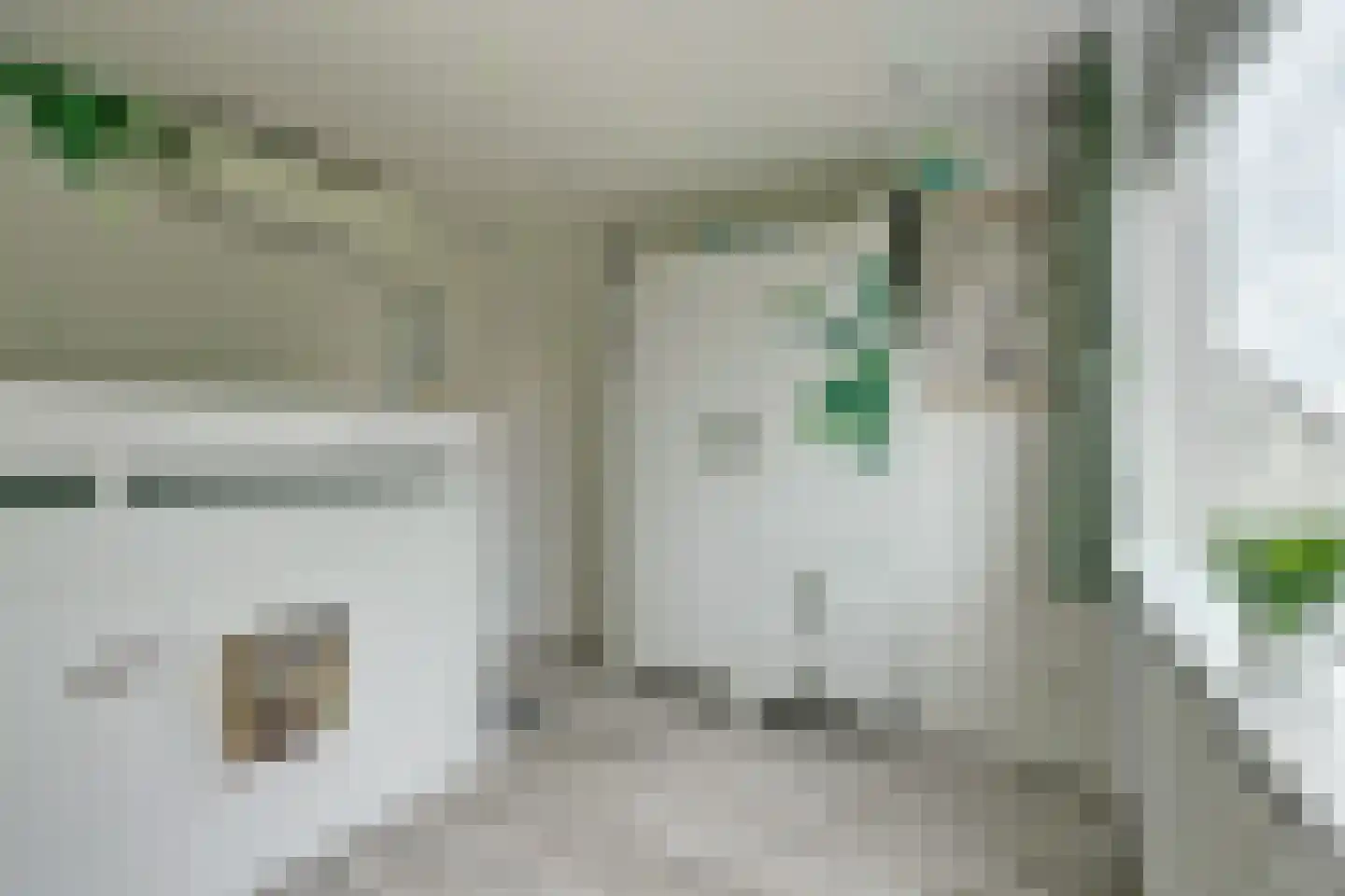 van Naeldwijcklaan 67 Berkel en Rodenrijs thumbnail 34