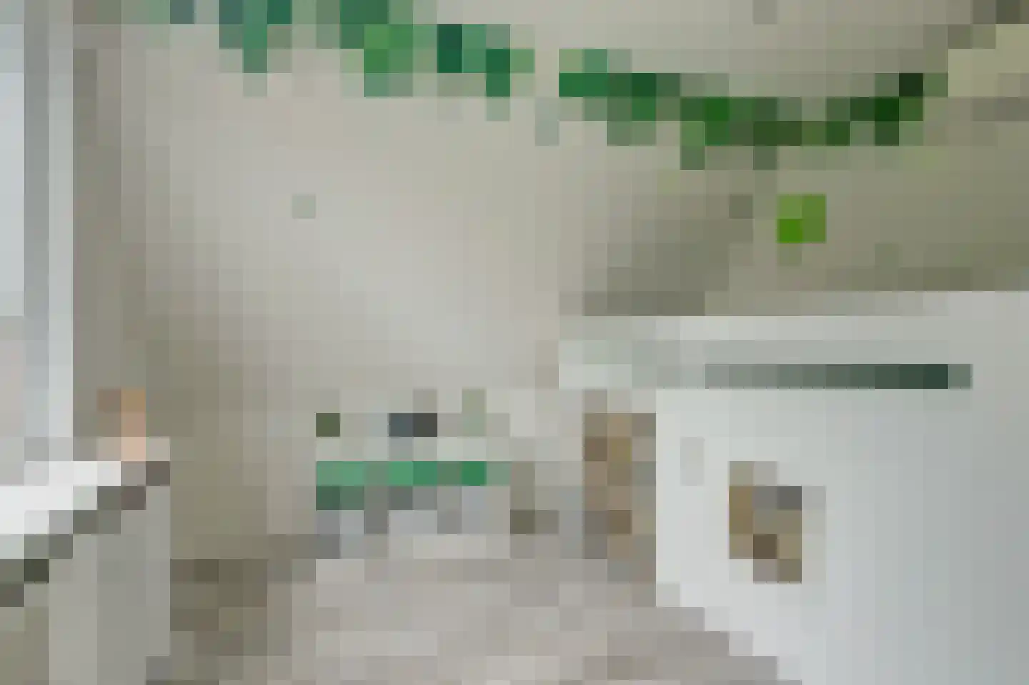 van Naeldwijcklaan 67 Berkel en Rodenrijs thumbnail 35