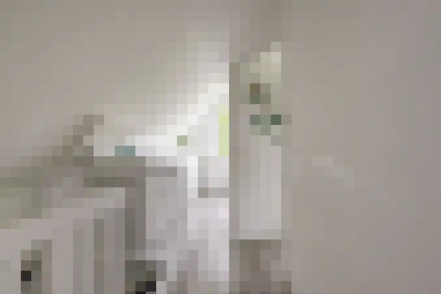 van Naeldwijcklaan 67 Berkel en Rodenrijs thumbnail 42