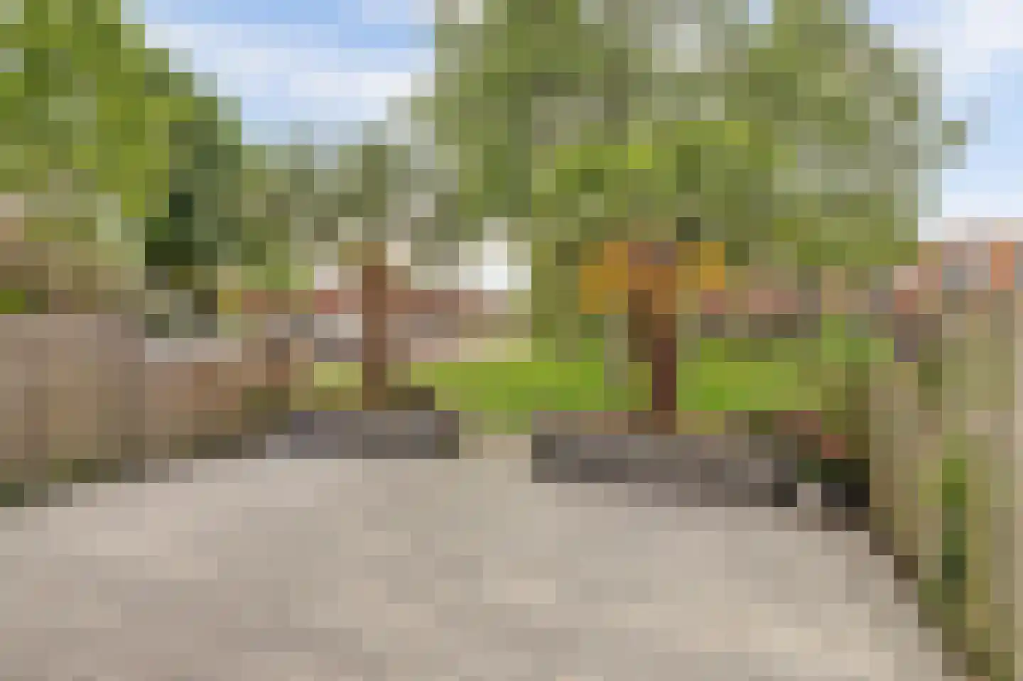 van Naeldwijcklaan 67 Berkel en Rodenrijs thumbnail 46