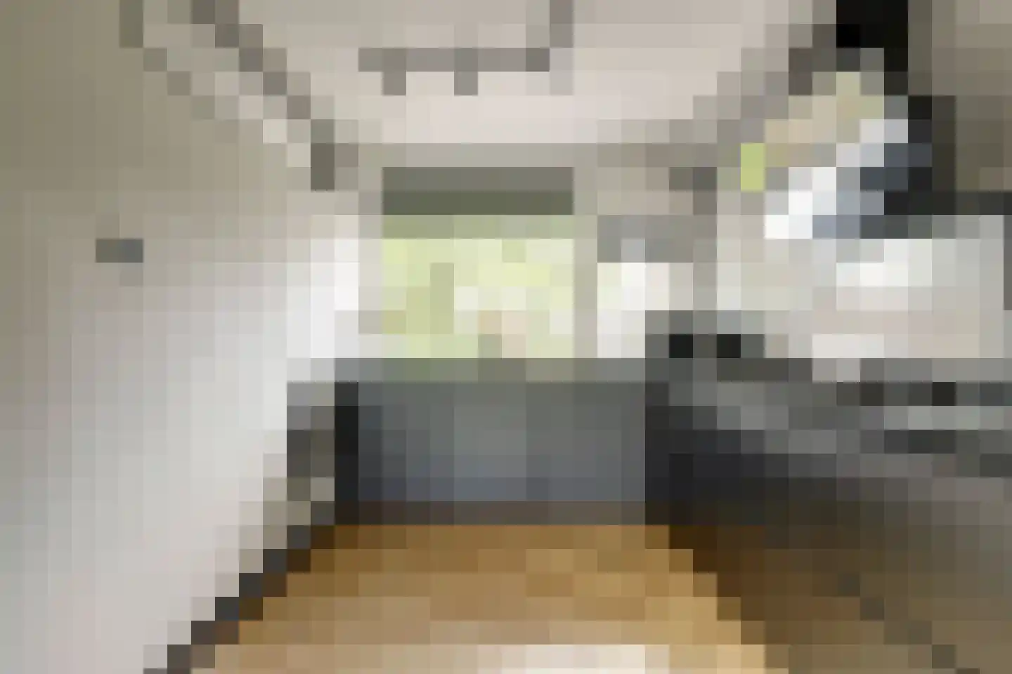 van Naeldwijcklaan 67 Berkel en Rodenrijs thumbnail 5