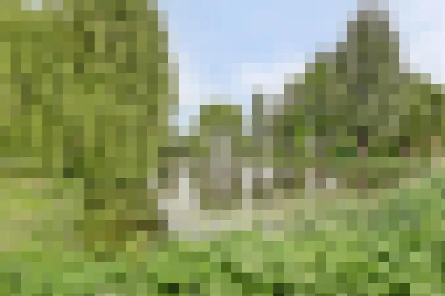 van Naeldwijcklaan 67 Berkel en Rodenrijs thumbnail 59