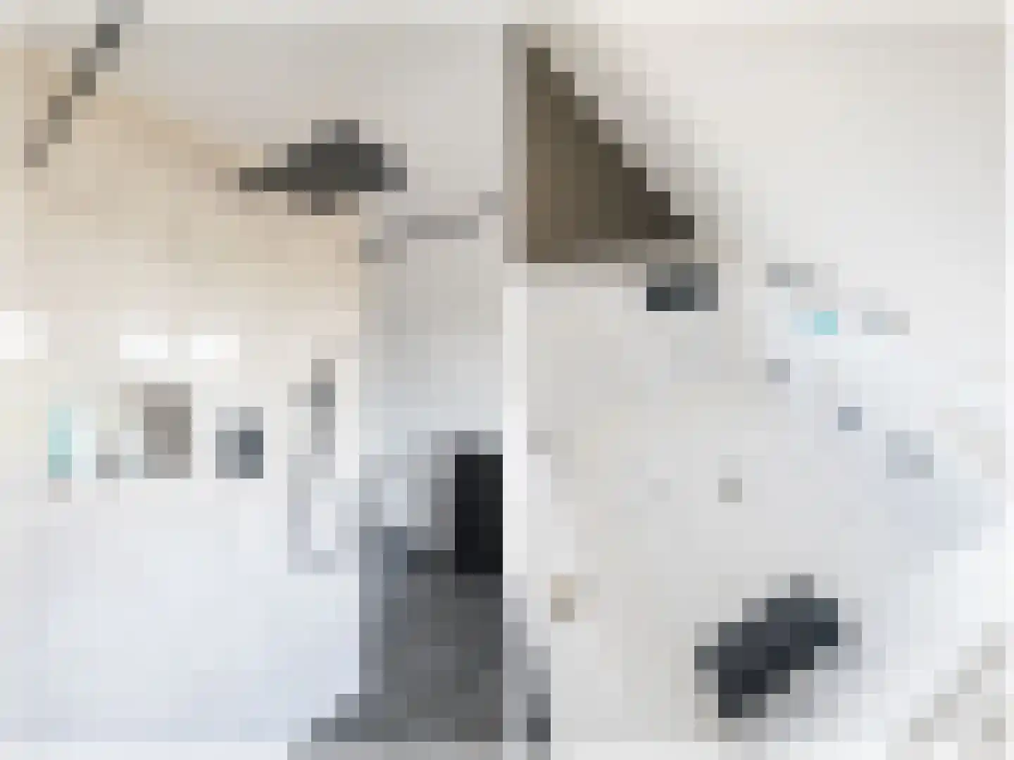 van Naeldwijcklaan 71 Berkel en Rodenrijs thumbnail 21