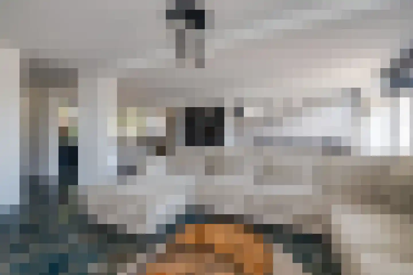 van Naeldwijcklaan 71 Berkel en Rodenrijs thumbnail 5