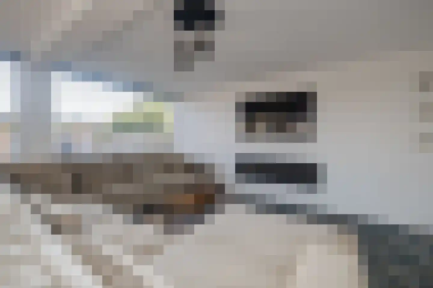 van Naeldwijcklaan 71 Berkel en Rodenrijs thumbnail 6