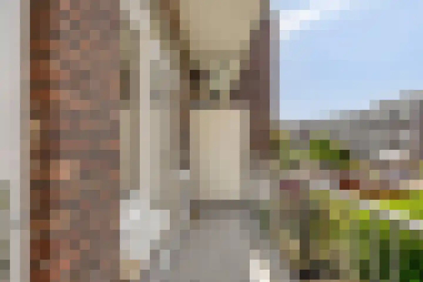 van Naeltwijckstraat 109 Voorburg thumbnail 11