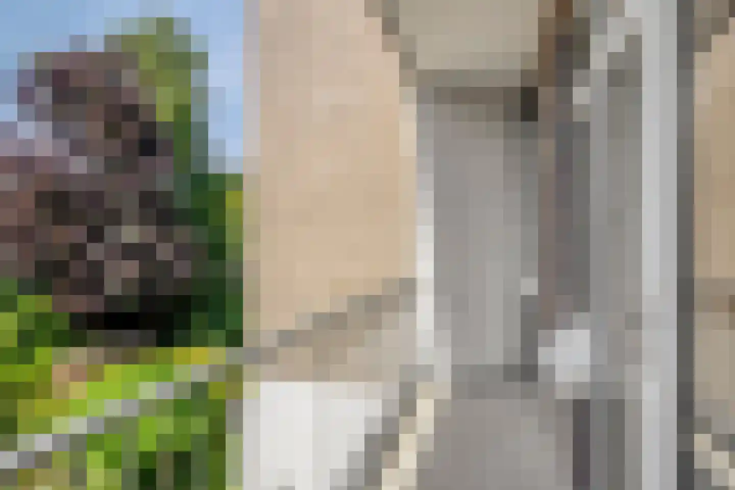 van Naeltwijckstraat 109 Voorburg thumbnail 12