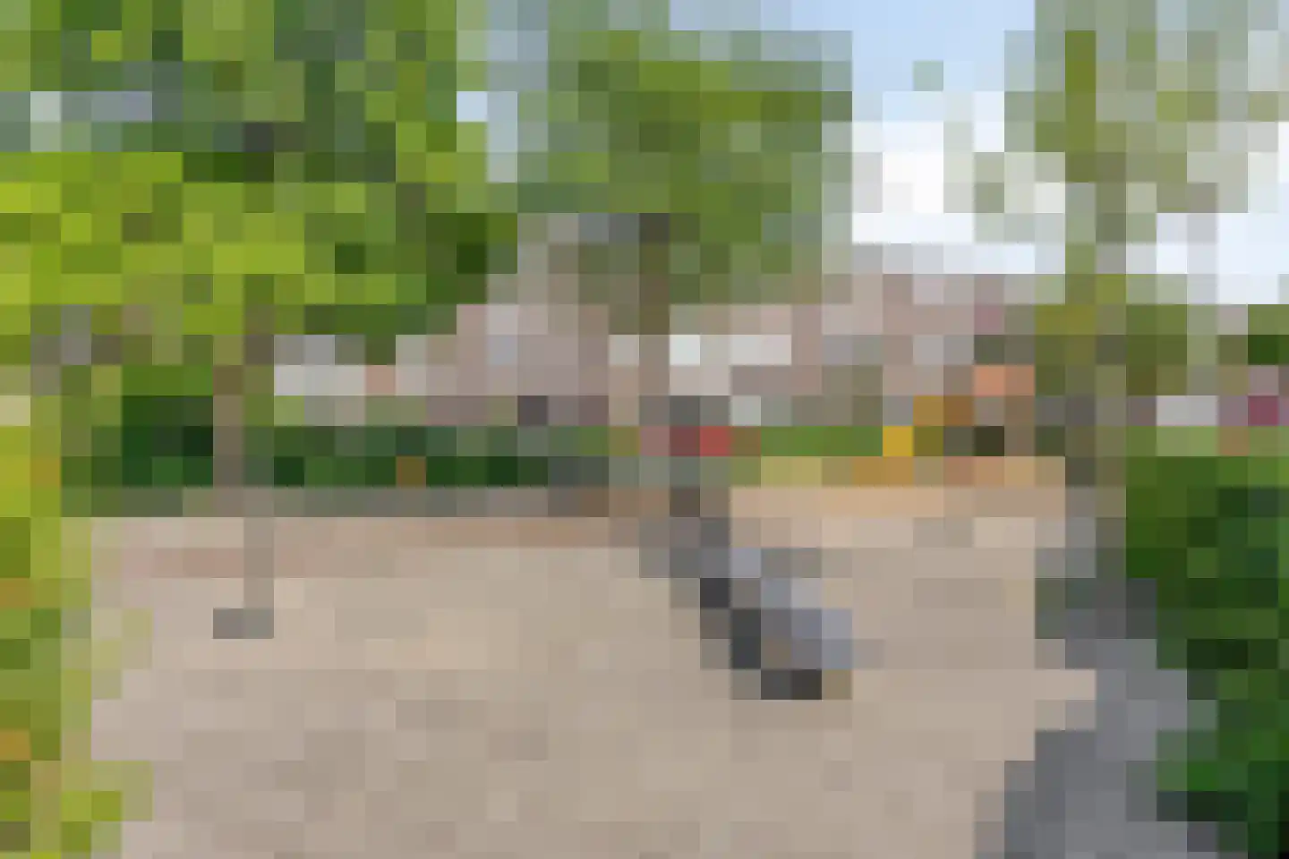 van Naeltwijckstraat 109 Voorburg thumbnail 27