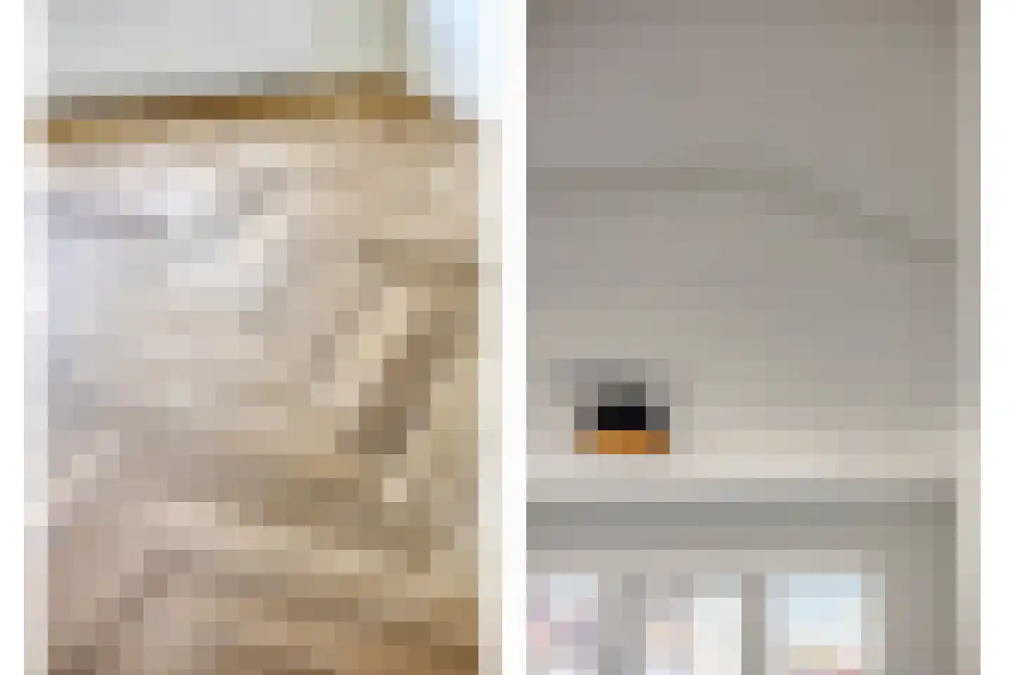 van Naeltwijckstraat 109 Voorburg thumbnail 9