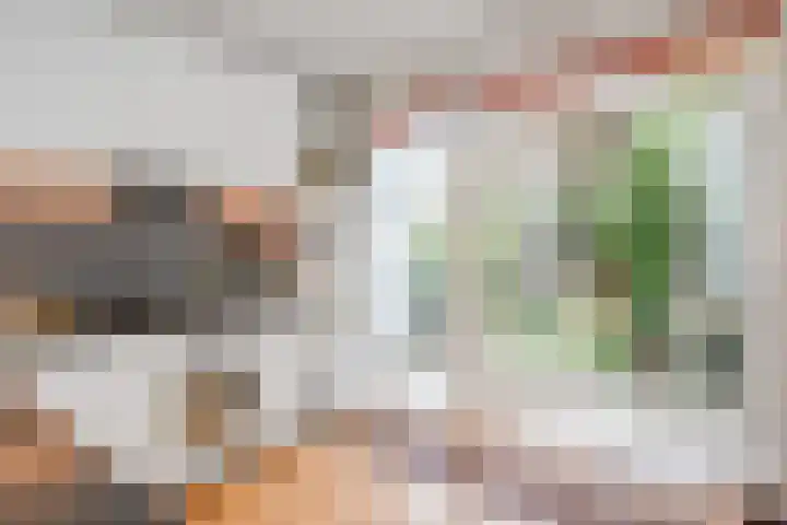 van Naeltwijckstraat 117 Voorburg thumbnail 19