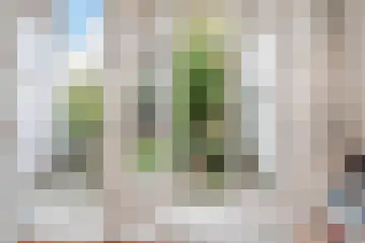 van Naeltwijckstraat 117 Voorburg thumbnail 20