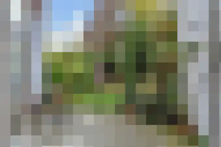 van Naeltwijckstraat 117 Voorburg thumbnail 21