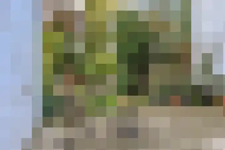 van Naeltwijckstraat 117 Voorburg thumbnail 22