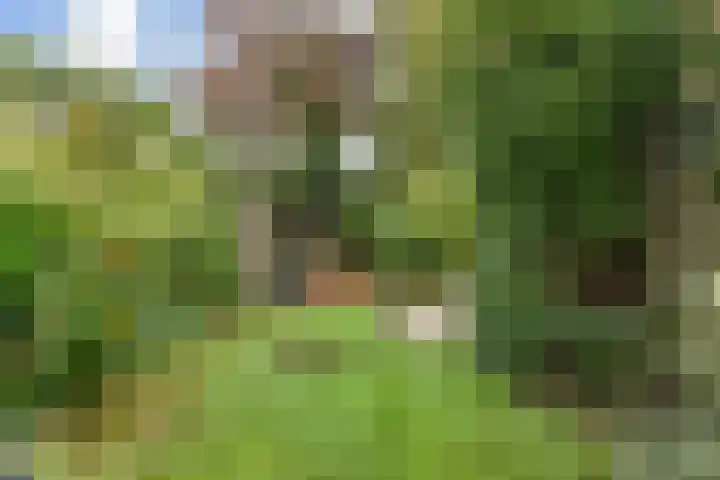 van Naeltwijckstraat 117 Voorburg thumbnail 23