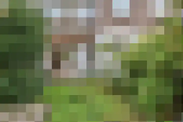 van Naeltwijckstraat 117 Voorburg thumbnail 25