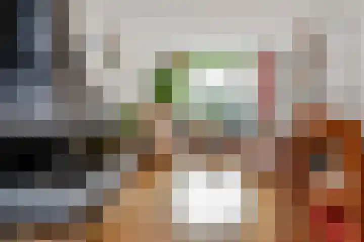 van Naeltwijckstraat 117 Voorburg thumbnail 30