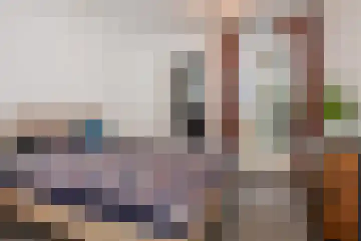 van Naeltwijckstraat 117 Voorburg thumbnail 31