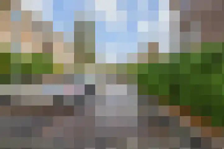 van Naeltwijckstraat 117 Voorburg thumbnail 42