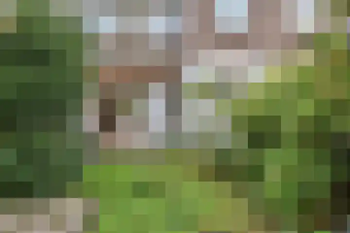 van Naeltwijckstraat 117 Voorburg thumbnail 5