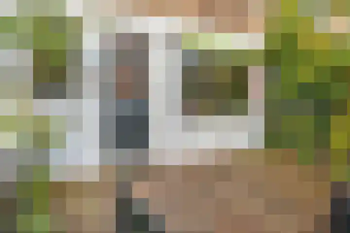 van Naeltwijckstraat 117 Voorburg thumbnail 8