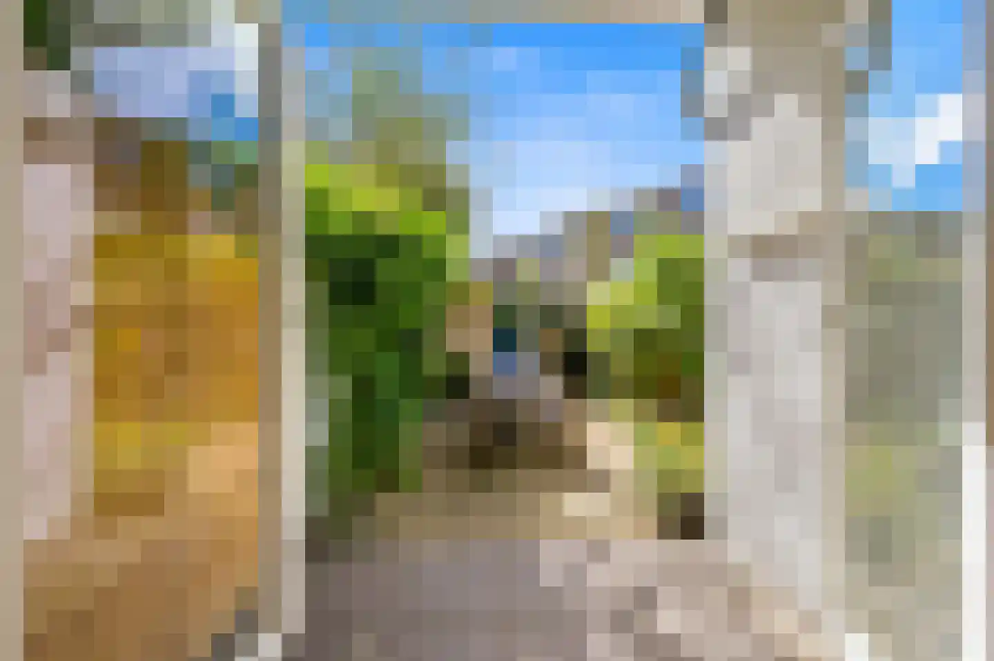 van Naeltwijckstraat 12 Voorburg thumbnail 18