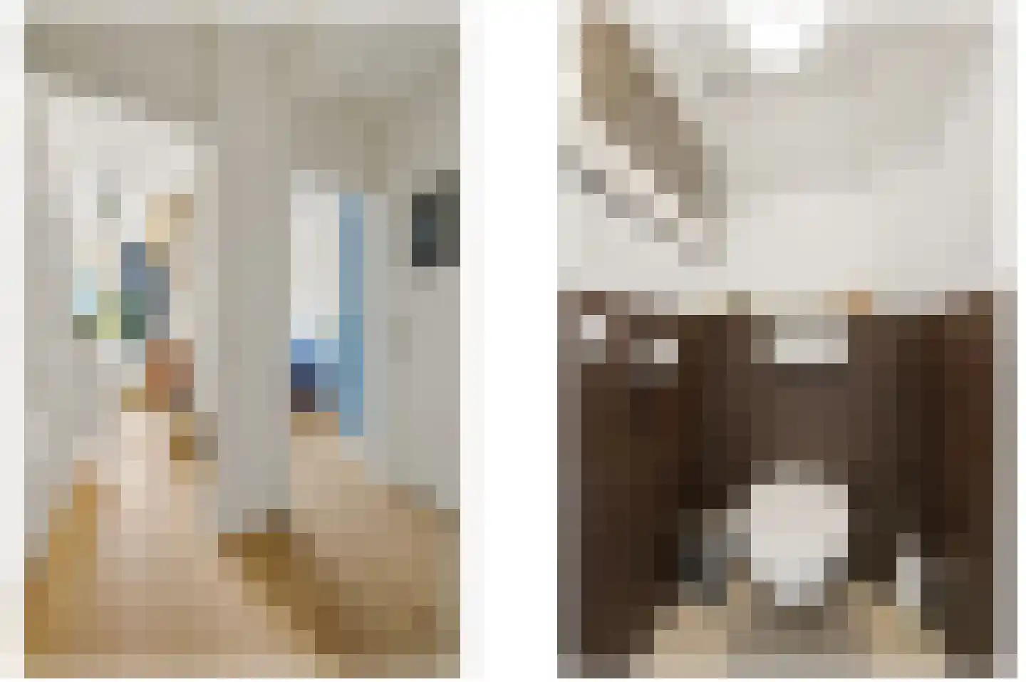 van Naeltwijckstraat 12 Voorburg thumbnail 23