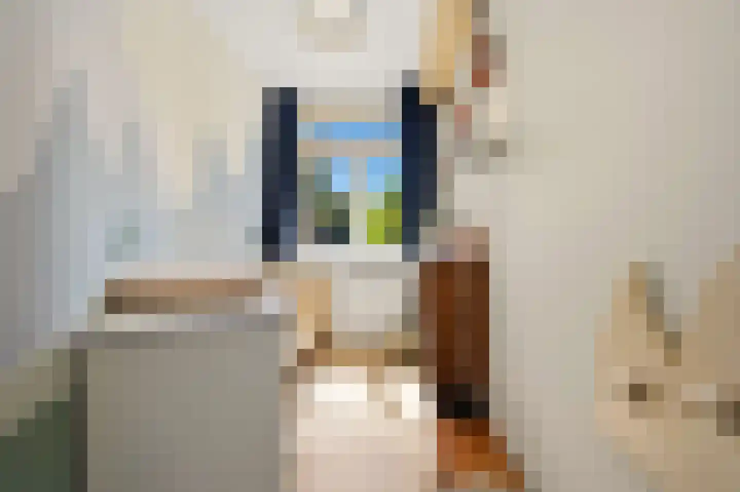 van Naeltwijckstraat 12 Voorburg thumbnail 24