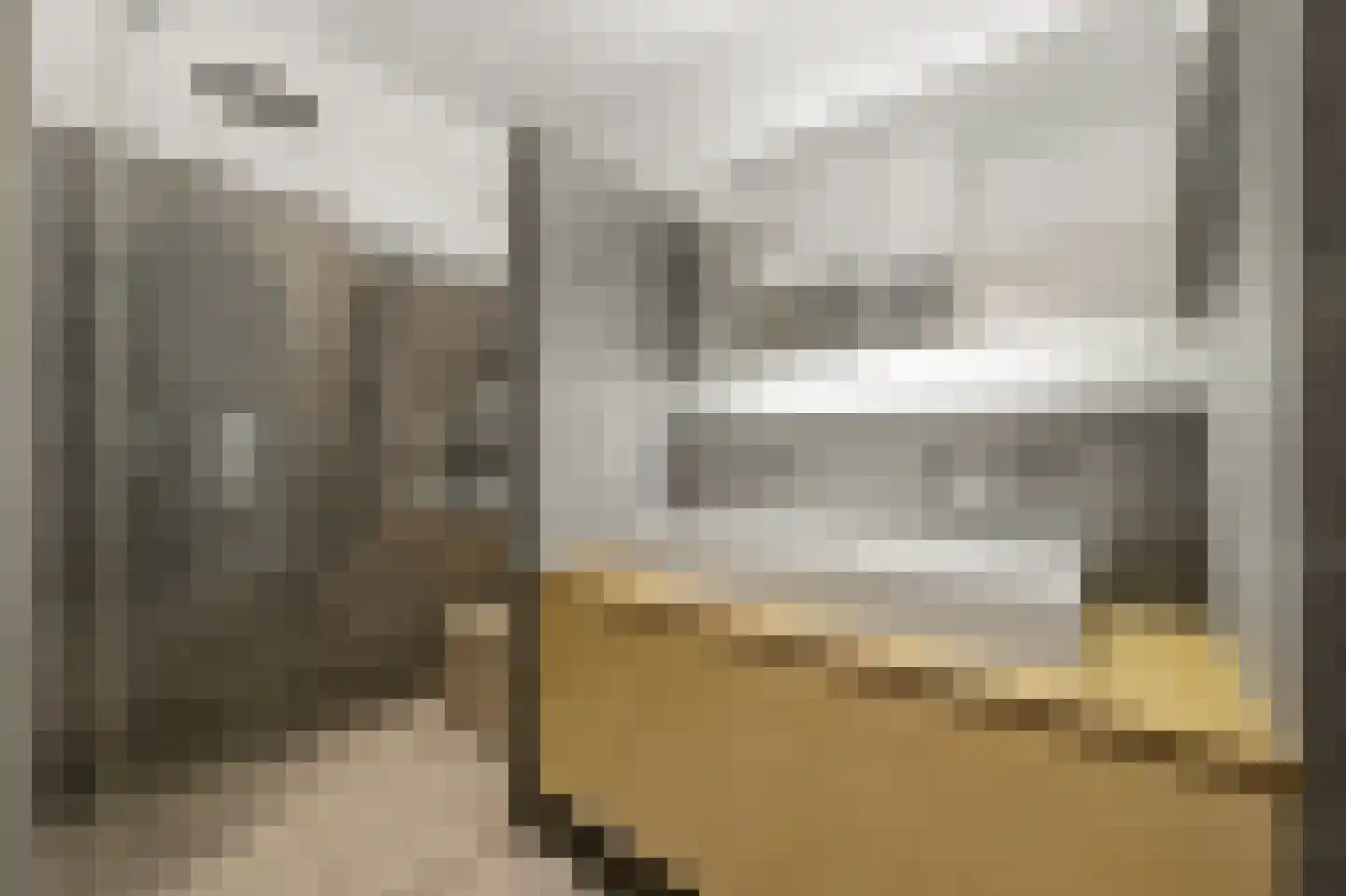 van Naeltwijckstraat 12 Voorburg thumbnail 27