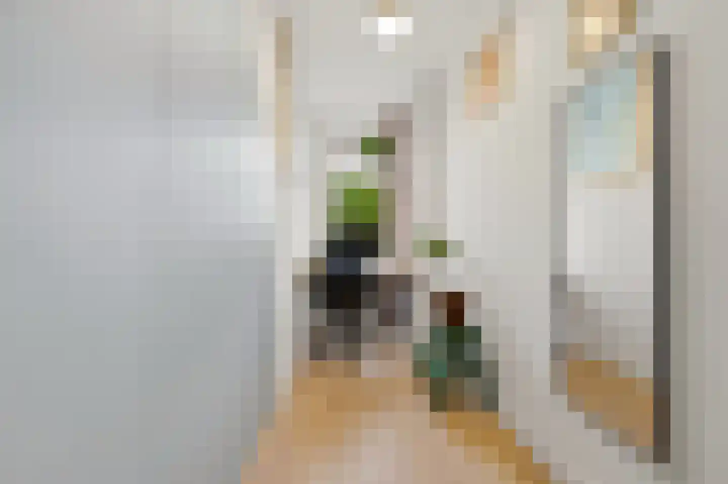 van Naeltwijckstraat 12 Voorburg thumbnail 30