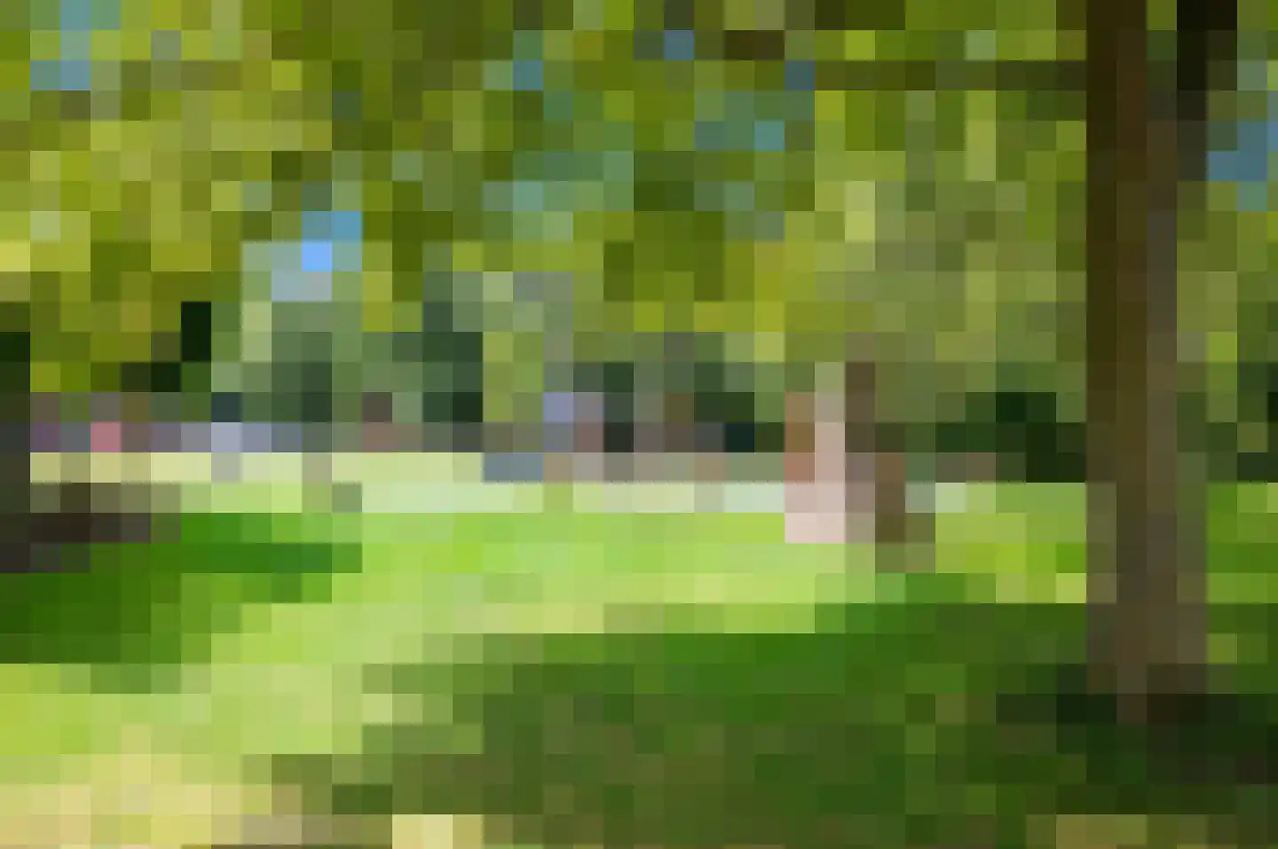van Naeltwijckstraat 12 Voorburg thumbnail 40