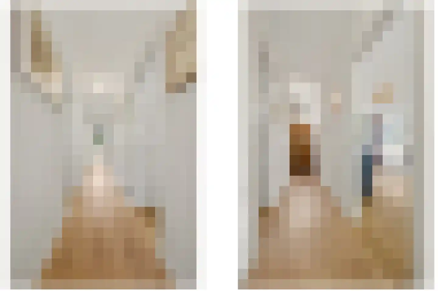 van Naeltwijckstraat 12 Voorburg thumbnail 6