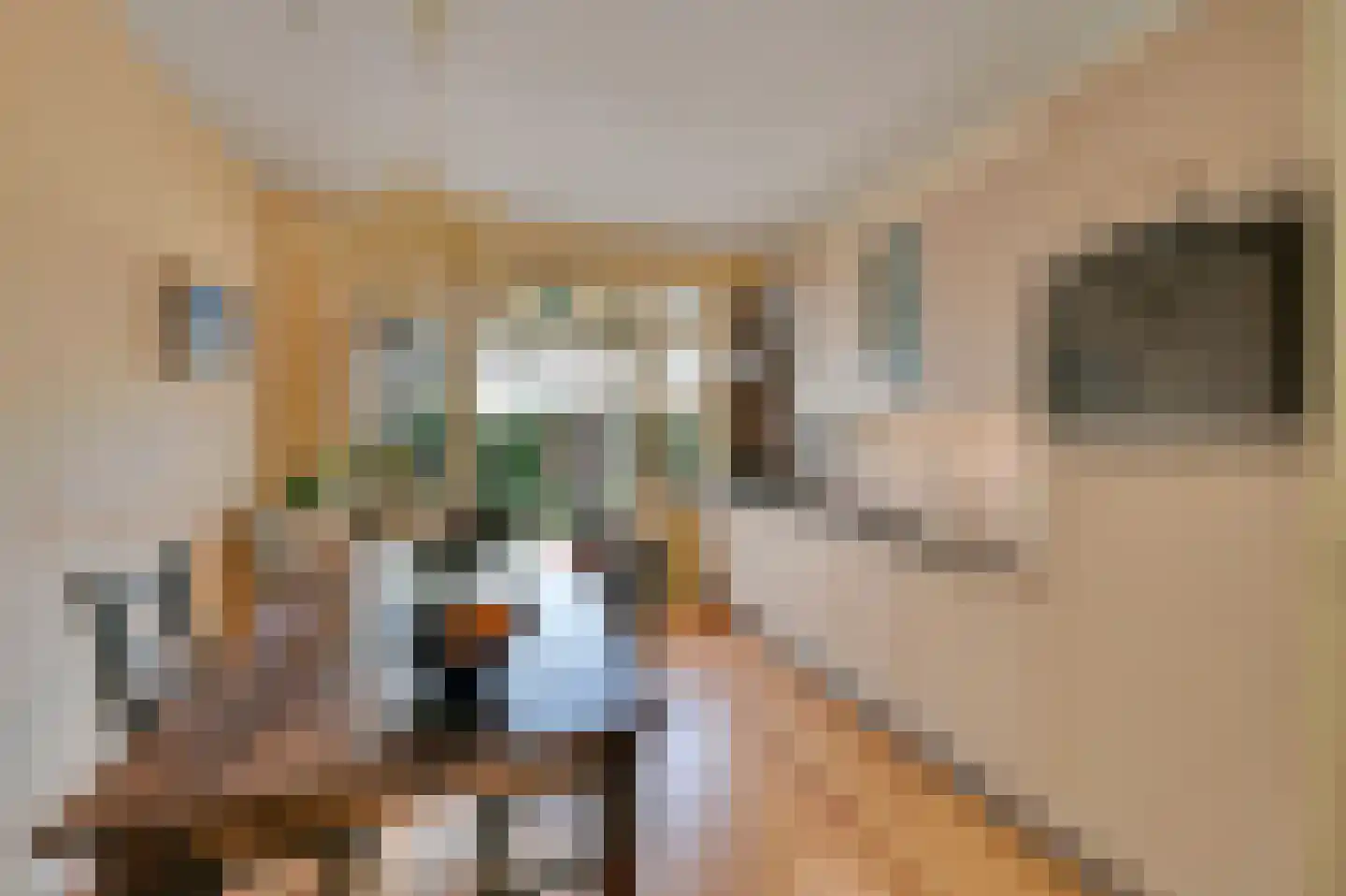 van Naeltwijckstraat 123 Voorburg thumbnail 19
