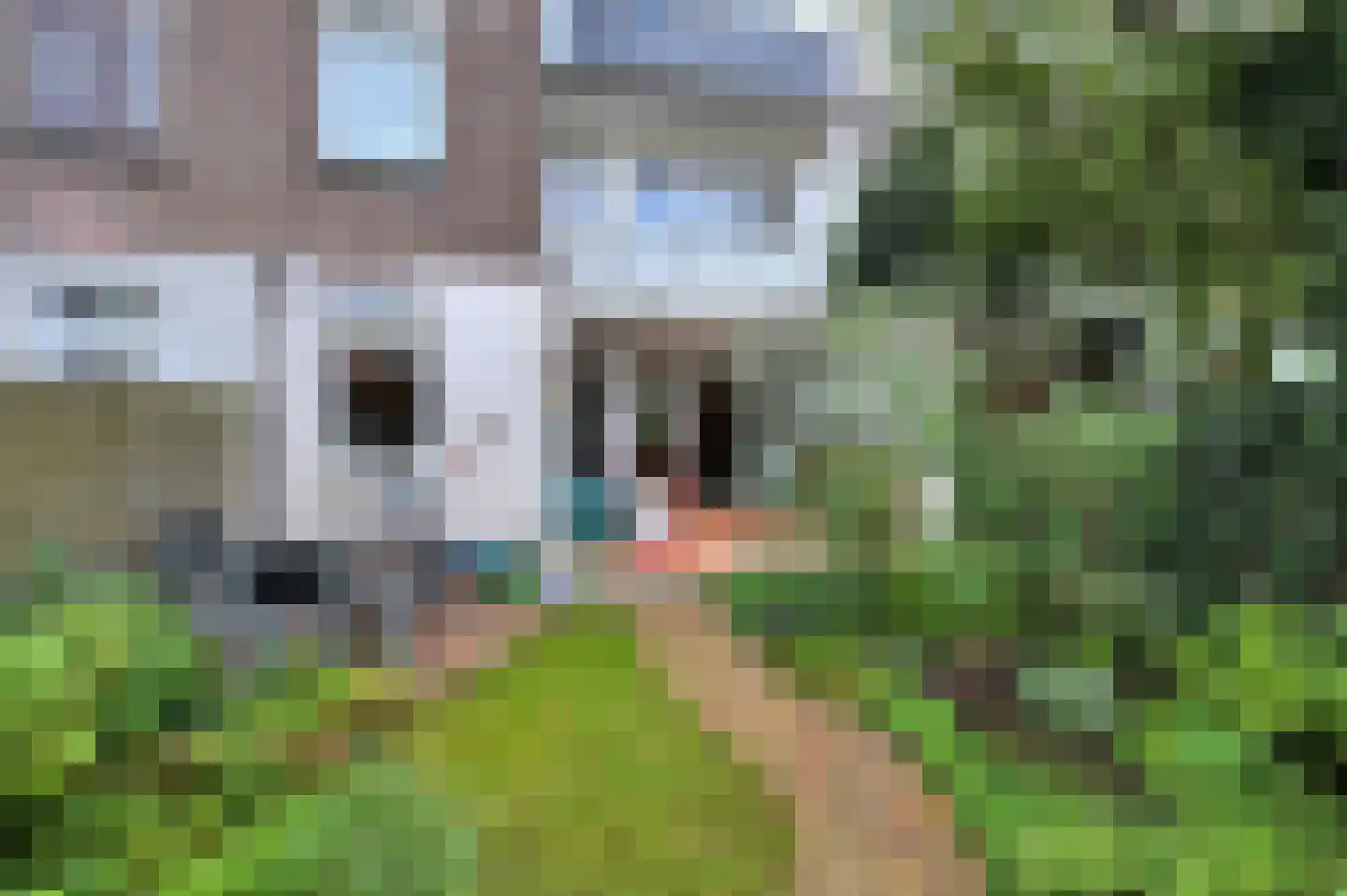van Naeltwijckstraat 123 Voorburg thumbnail 28