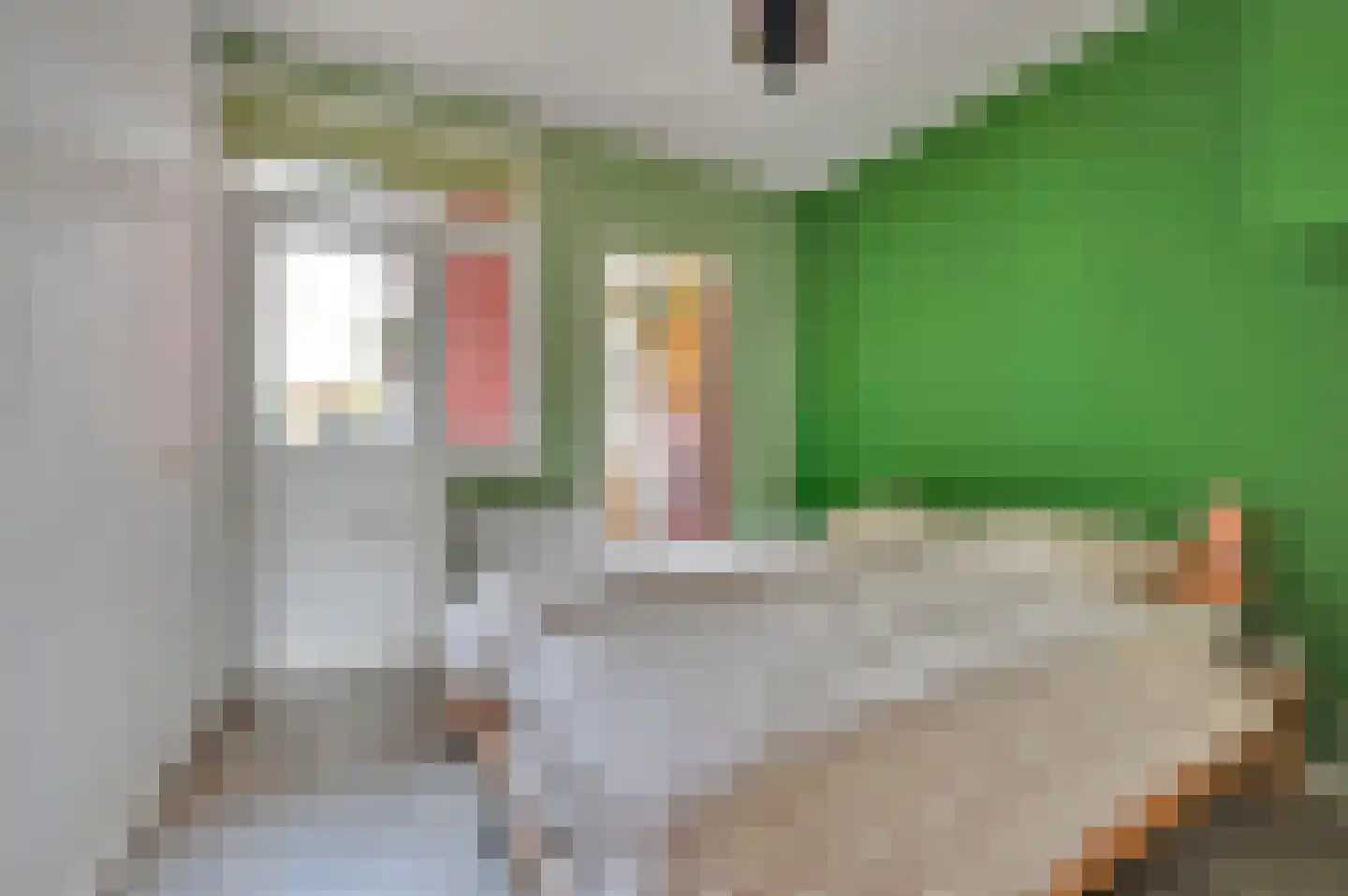 van Naeltwijckstraat 123 Voorburg thumbnail 29