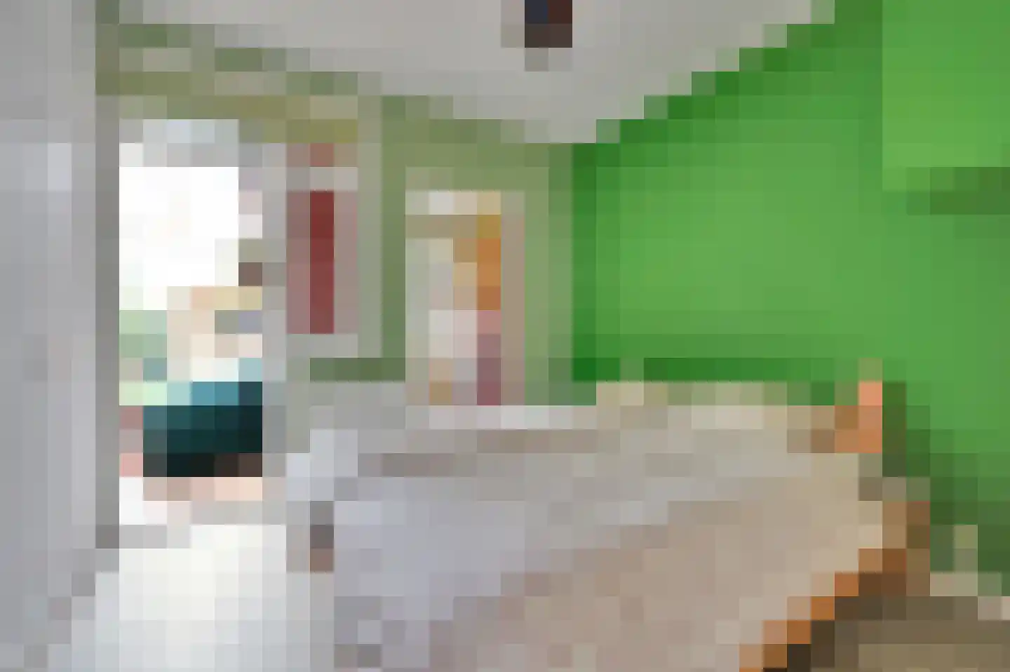 van Naeltwijckstraat 123 Voorburg thumbnail 30